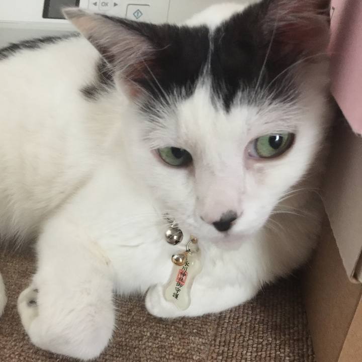 266f7035 352e 42ff af61 b4e2d8cbed90