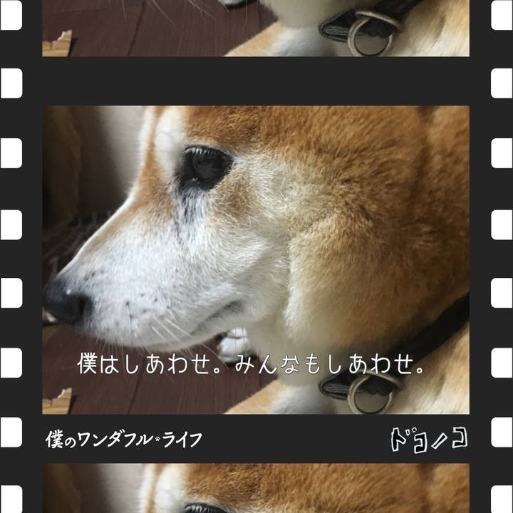 266f77c6 c0a1 4fb9 8712 591bd7990343