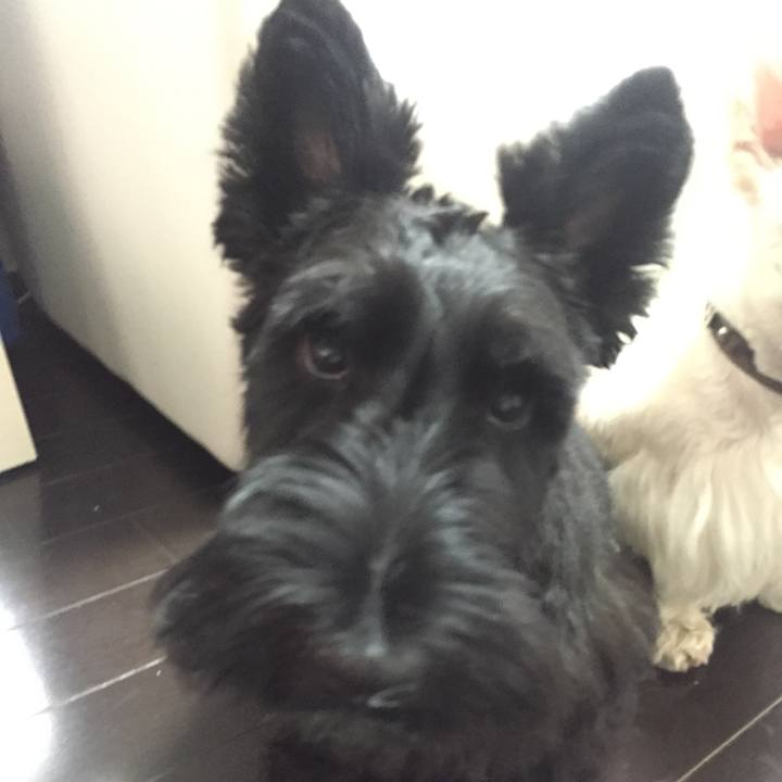 266f7b1a 66b6 49bb a267 199deebddbc0