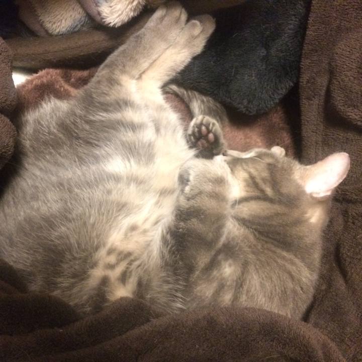 266f924d c8d8 4eaa a4e7 ed89349cf36e