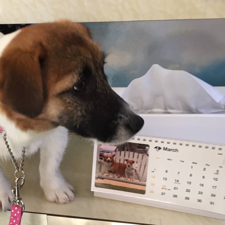 266fb24f 03f7 4326 974e 2f35b49a48dd