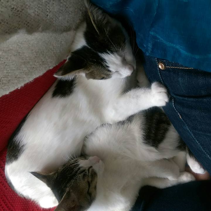 26701e9c bdaa 408f 94ec e82d0b968115