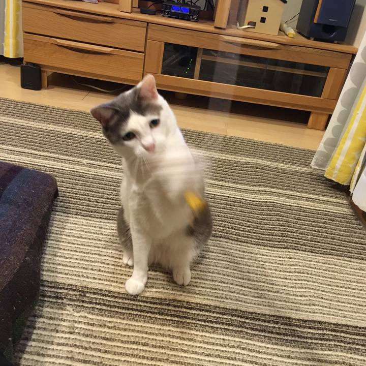 2671a041 584d 40ca 8fd0 d51c85a2d414