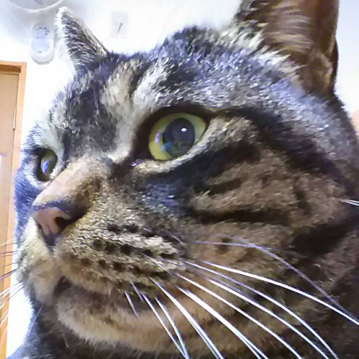 2671fcdf 0352 47a6 880a 8318ea778d90