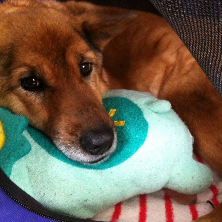 2671fe0f 934b 4124 b19e 664f58a0cebe