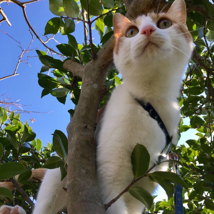 2671fe3a d3a6 4fdc 8835 d14cc7904906