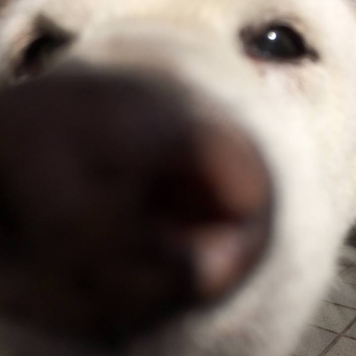 267221c5 62df 44fa bd35 c5f3ff2341fc