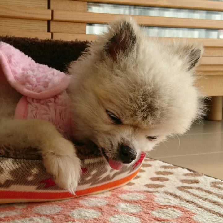 267225f8 05eb 4c97 bb9c 7ea3cbc1e4d2