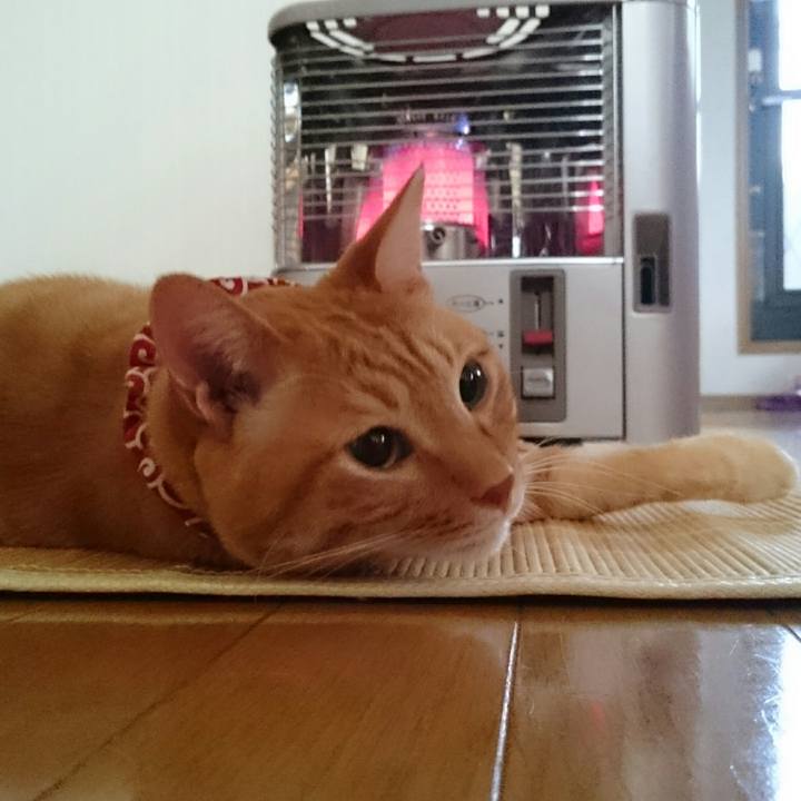 2672c476 f236 4a4d ac12 73d14c3eb0ff