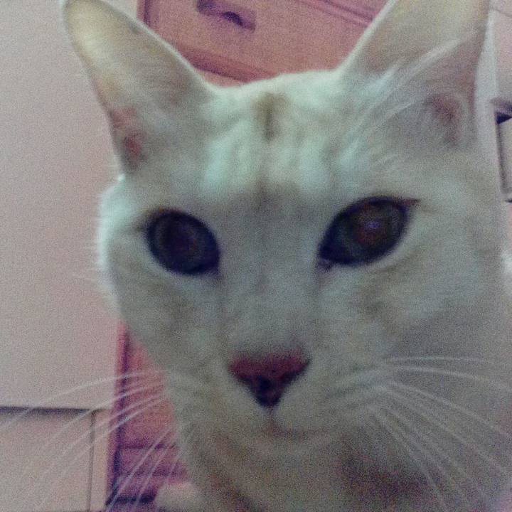 267314e3 ed4b 4198 a8d3 b3f69ef95942