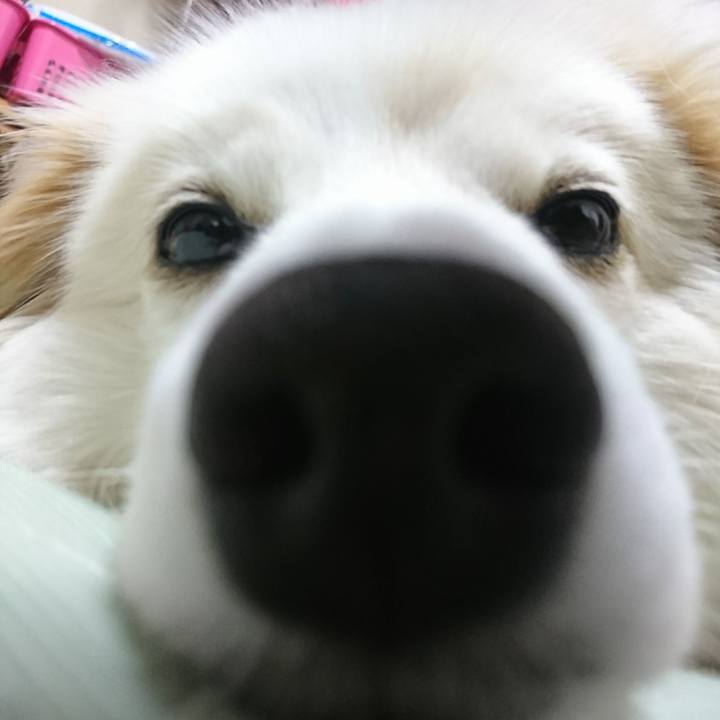 2673658d 671b 486d af70 114e155f7155