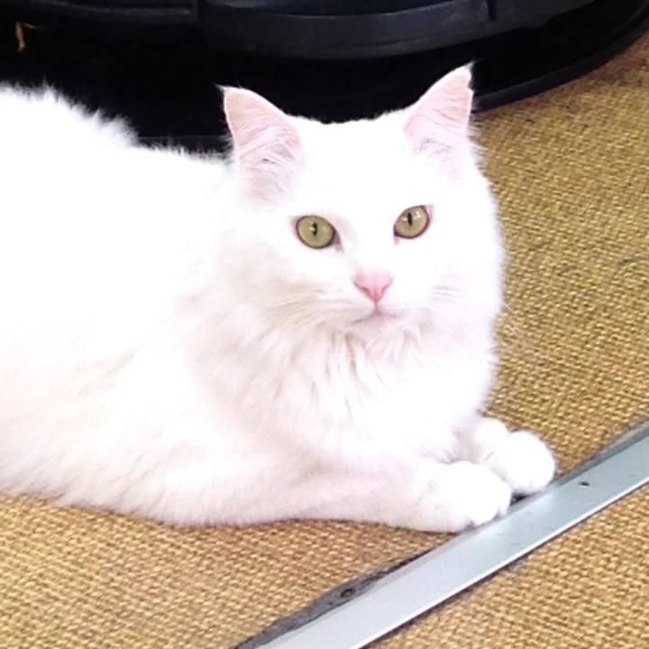 2674a4e9 19fe 4251 8d4b b563f0691da2