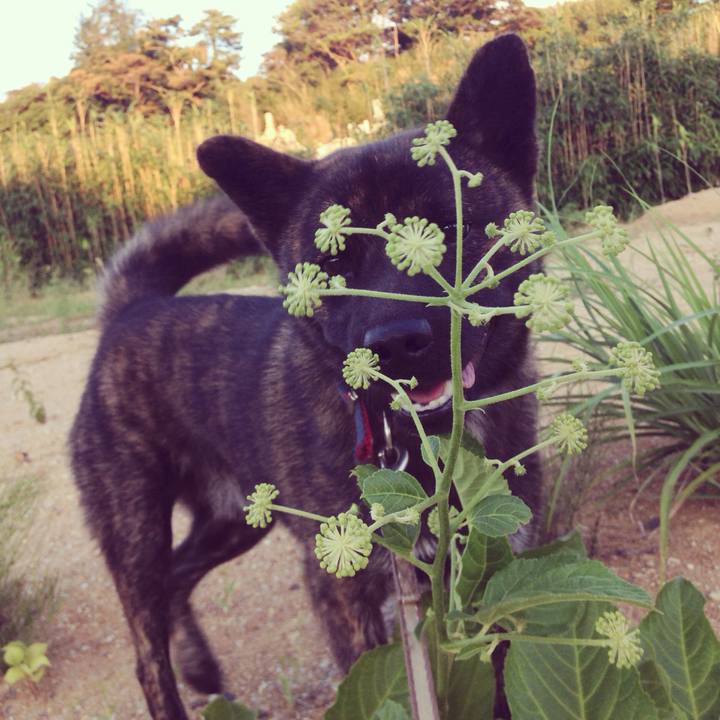 2674c284 af74 47c7 8807 3ef57a01bd32