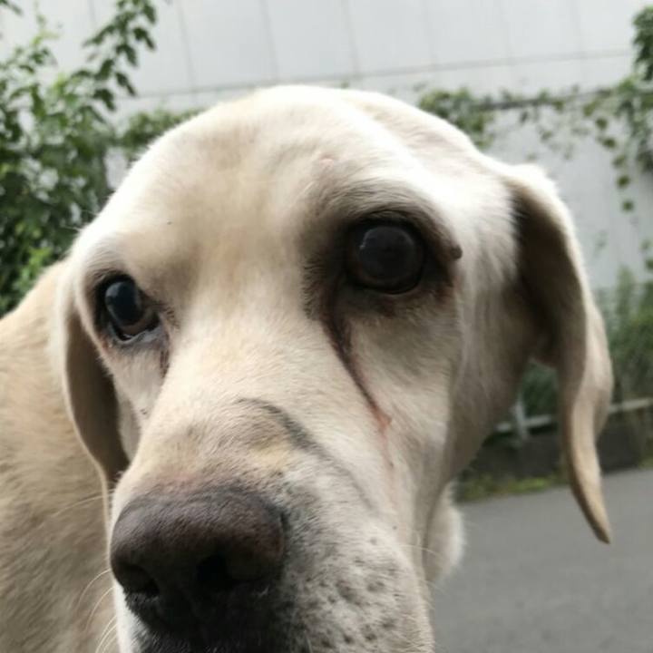 2674d545 8f34 4c45 8193 cd103fce7d8d