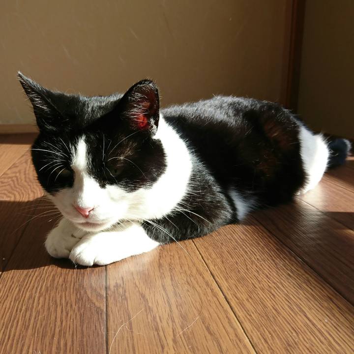 26754dfc 89d2 4bce bbc5 9849c5c9f21f