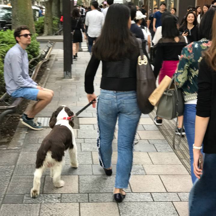 2675667c 6b26 4276 a58f 7d8d6c030335