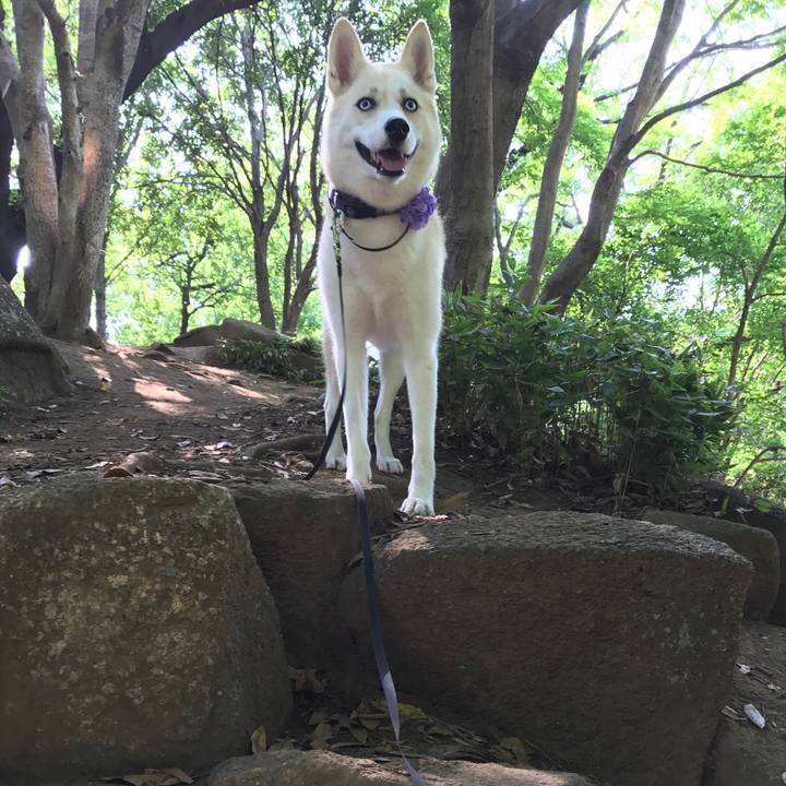 2675c37b 81ab 4a43 bffd 79bc40f32f2d