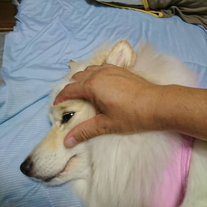 2675d1b2 0008 4c7d aefb fa4a37fa1ad3