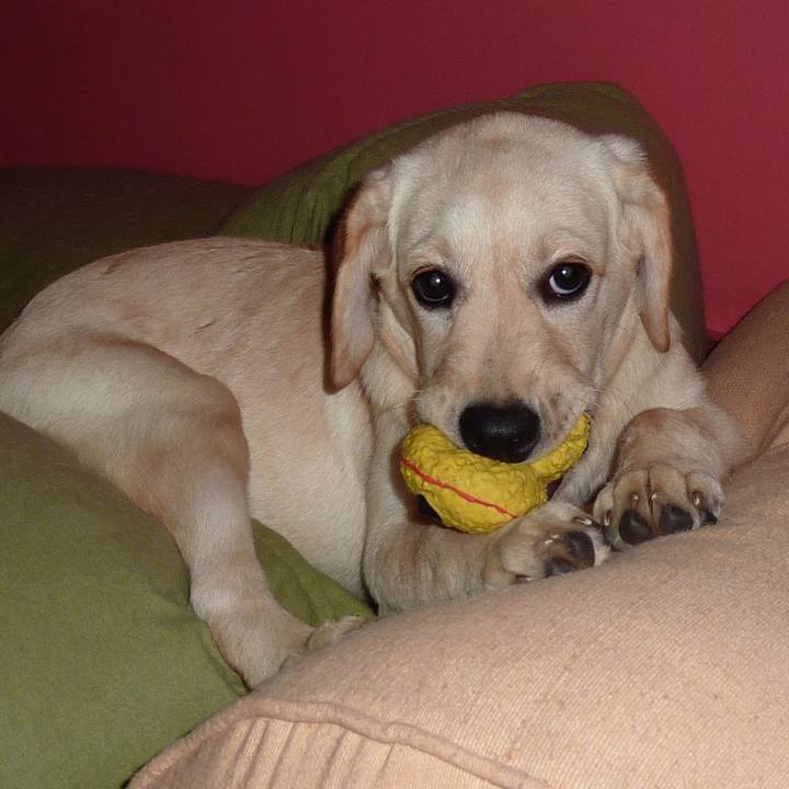 2675f516 14af 45d6 8247 49bb85cebcae