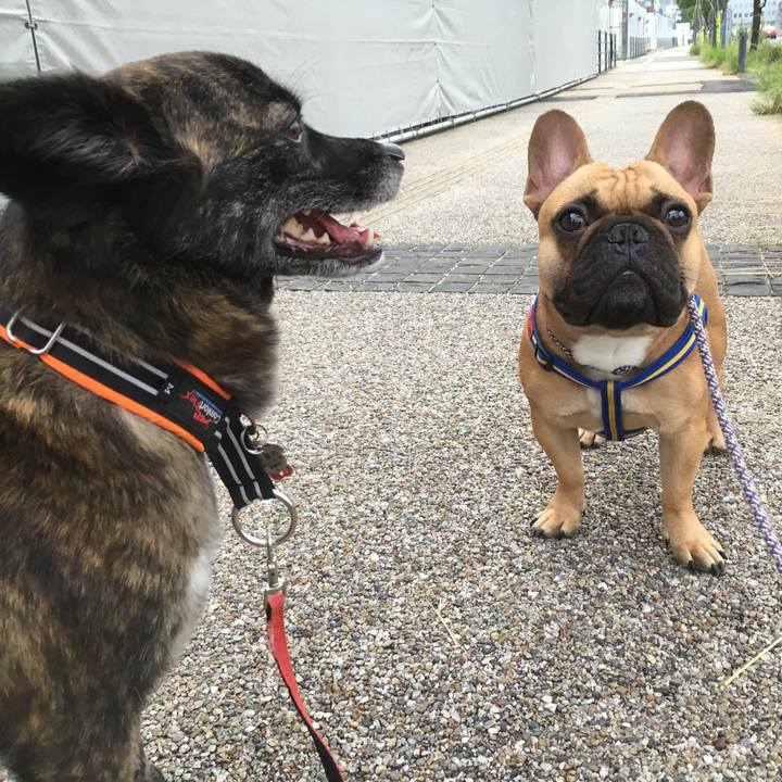 26769da5 43d6 4e53 969c 8dad4d91111e