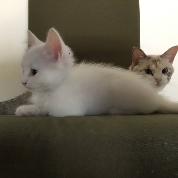 2676b3ce 27e7 405a ab3d 208aa0a4efea