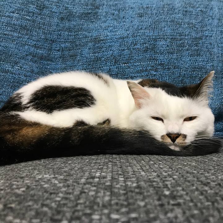 26770c1b fe62 4ff5 9df1 13b160c9ec4f