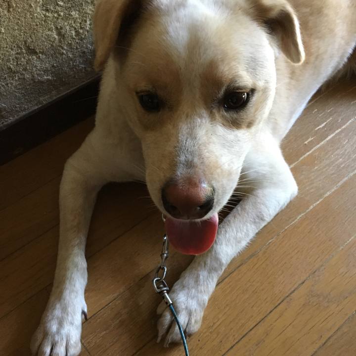 2677376e 52f0 45dd 91cf bce52410815b