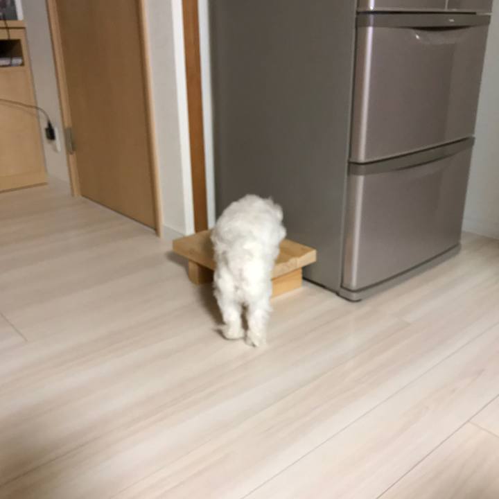 26780413 b115 4395 a3c0 9deb3ff3f190