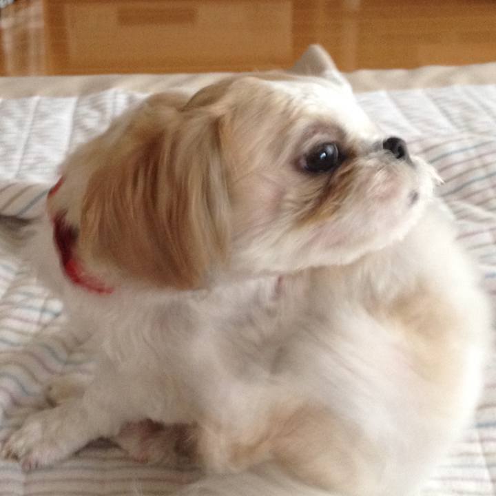 26785bab ffd8 4b48 a7ef 5b7985b0b319