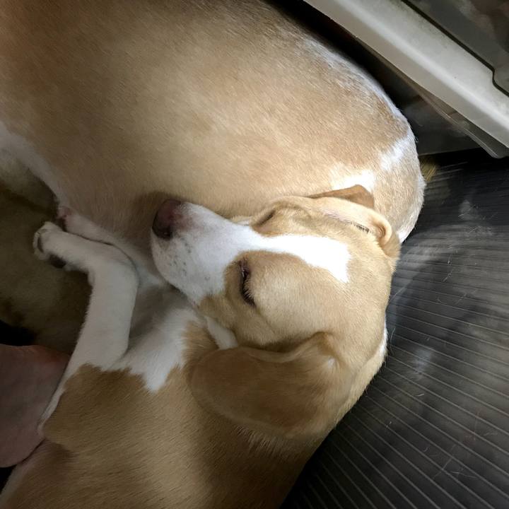 2678640f e2ce 4188 ba90 9e10ddce70dd