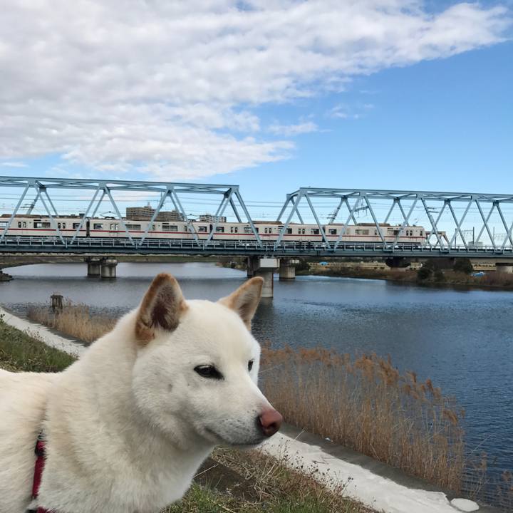 2678b89d cfed 43d6 8a27 3c6af2e85264