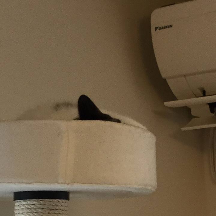 2678d06c 6a21 4b07 823c e675c02c8bae