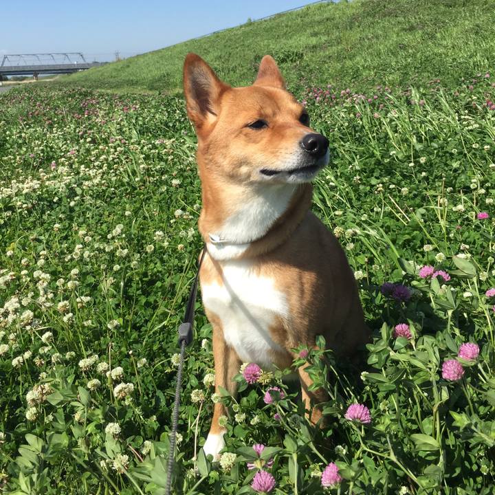 26792bf0 3571 482b 86dc 6b72676772db