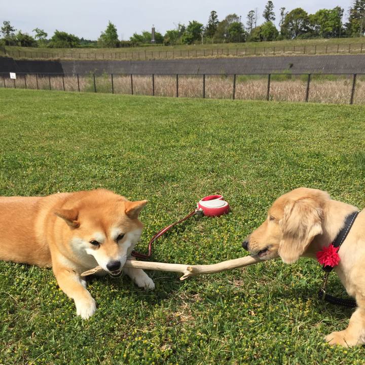 2679e3d7 1c83 4f96 8da1 b4c0f5b94aff