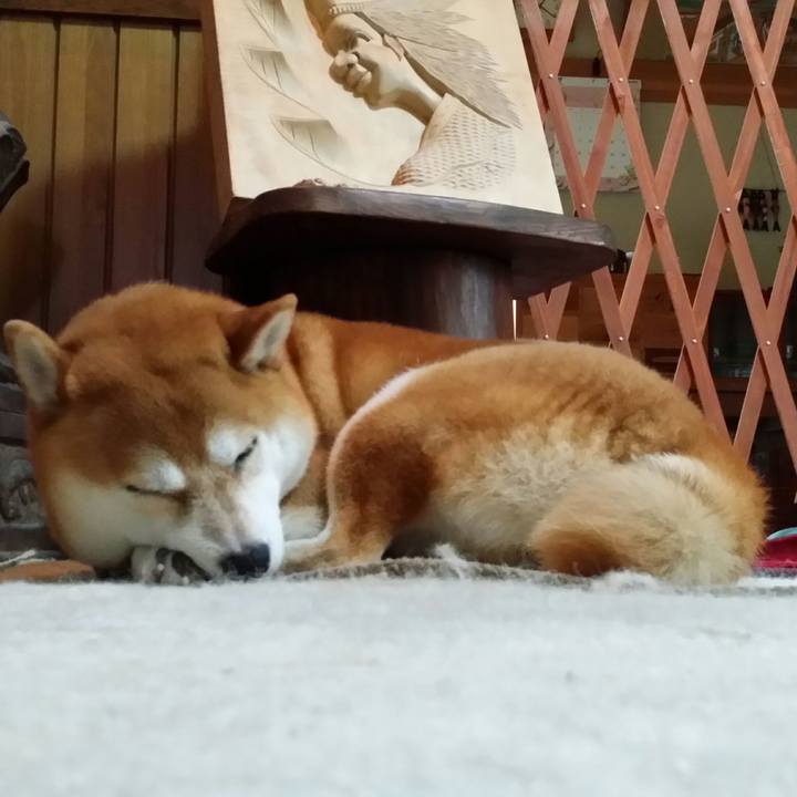 2679e5b4 c2c9 4981 9199 58bd49b9c080