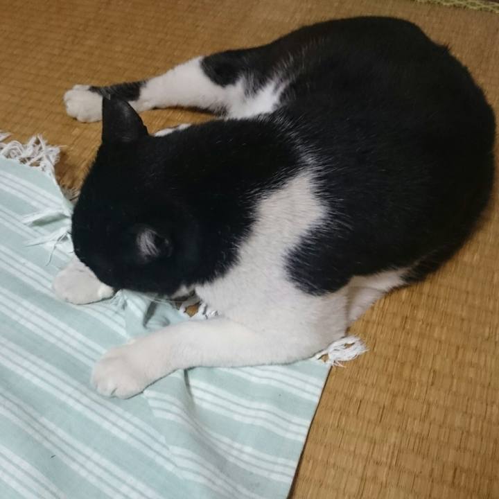 267a2a27 a519 4873 8b4b b61c8372b5e4