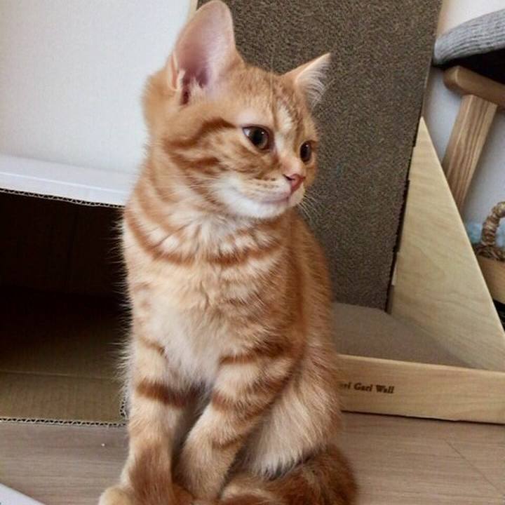 267a7f56 4b6f 4190 831a 909e8174c12c