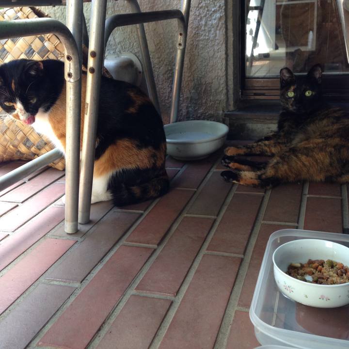 267a98af b7ac 479c b9a8 a09e22f900c0