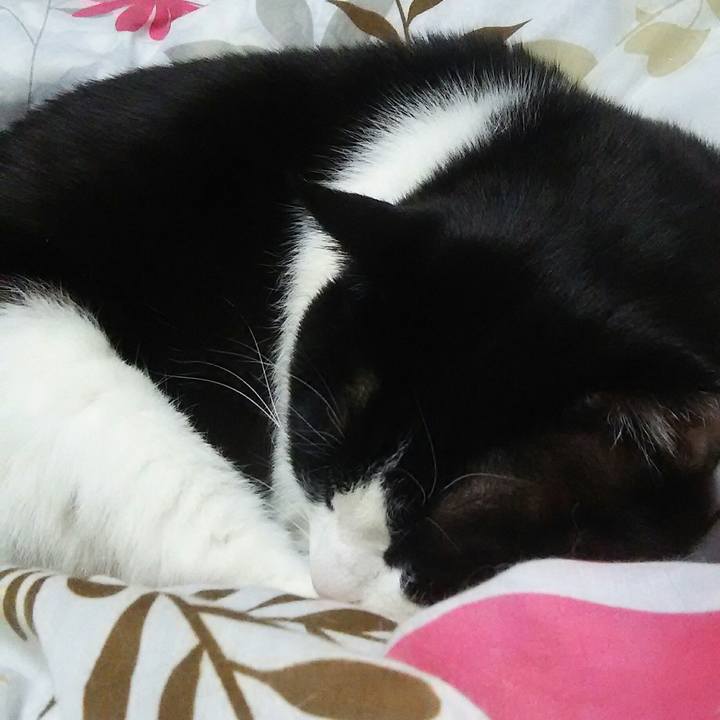 267a9a40 20cc 4149 b37f 8b6ae508c3d4