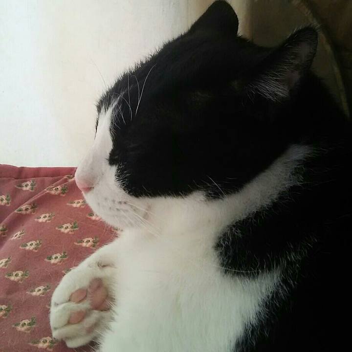 267ab4f1 5f21 4eed 9336 8fcdbb36469d