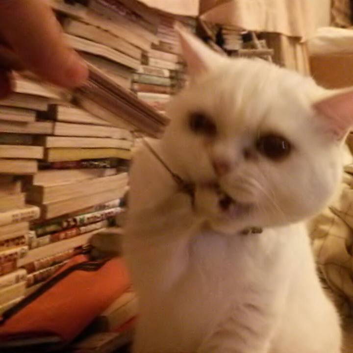 267b43fd bb90 4fe0 a69e a9fbf6988782