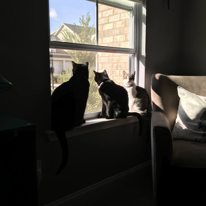 267ba5cc 9181 4c7f ab89 3c56b3dd212f