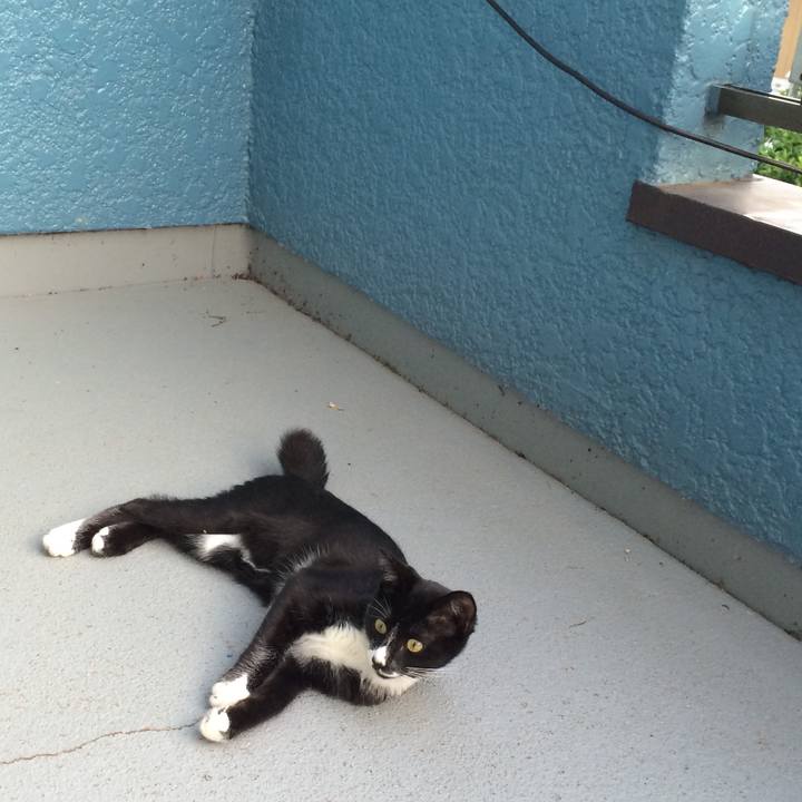 267bbfec ee91 4c36 b2e3 9ce811c1dfb0