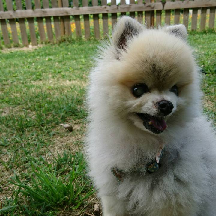 267bc8b0 899e 4190 b588 a4d93bf2773f