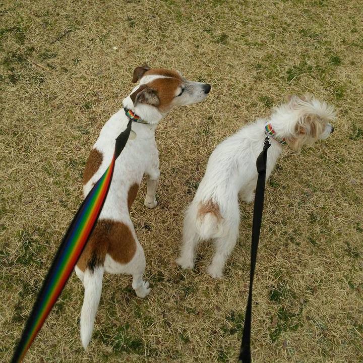 267be69c e743 4f02 a926 74bfc216f501