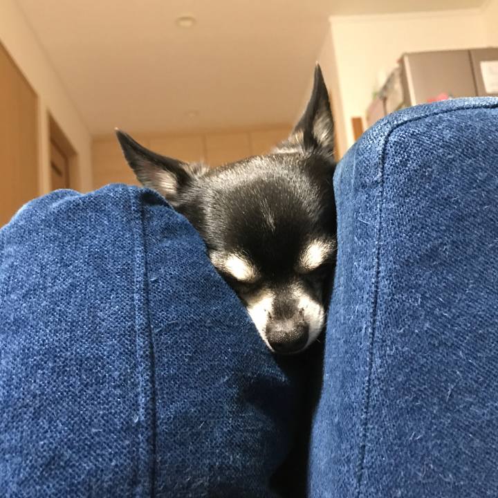 267c8554 3aa3 47bf af57 f058cabf0e33