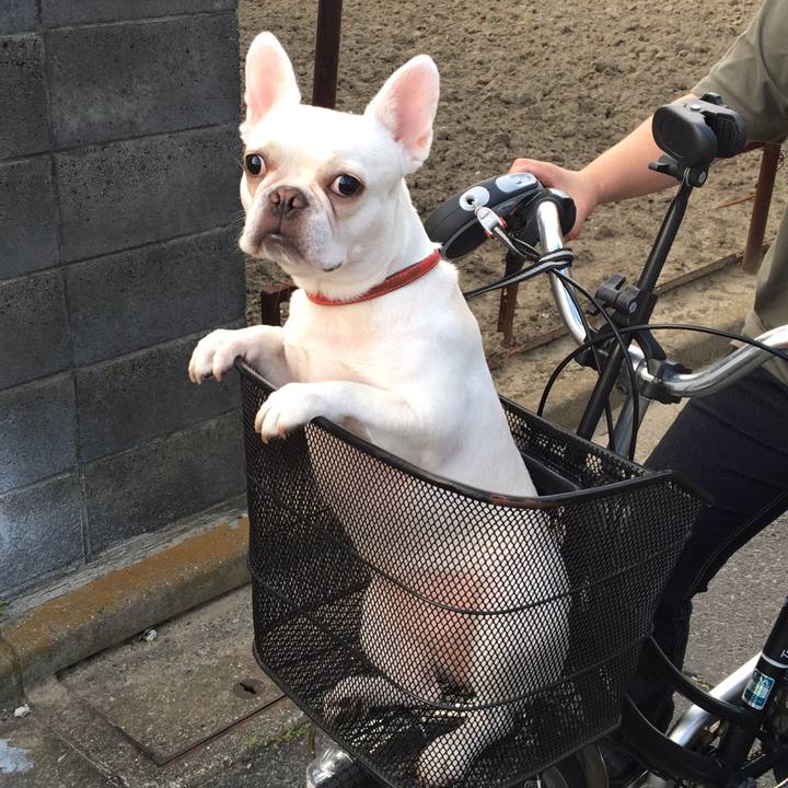 267ca57a 9b13 48ec ad5c 7389bf885e64