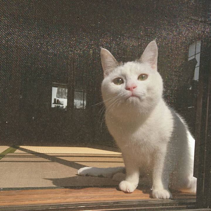 267cfc5d 3b22 4236 96d4 daba3e9b1ba8