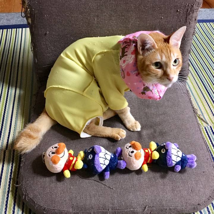 267d0763 3509 46f1 8d8f c0c987942f17