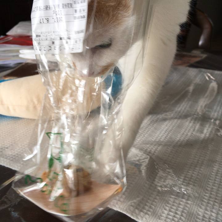 267da99a d6fb 48fb afa3 b8d4e665668a